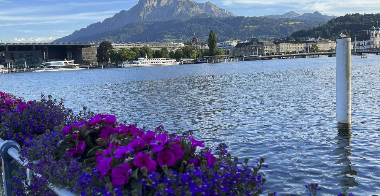 Hartbeats Luzern